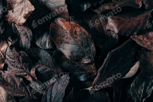 Preview: dark moody faded brown autumn leaf background, fall decay