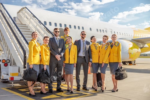 Preview: Cheerful aircrew standing near airplane at airport