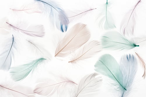 Preview: seamless background with multicolored light beige, green and blue feathers isolated on white