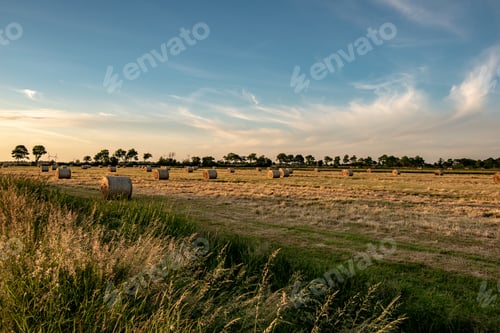 Preview: Beautiful sunset over the field