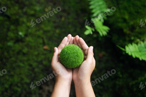 Preview: Net Zero Concept and Carbon Neutral Natural Environment Climate Neutral Long Term Emissions Strategy