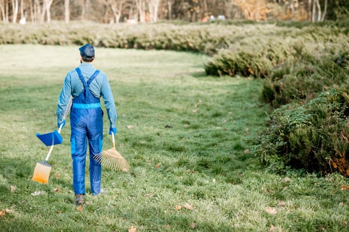 Preview: Gardener with cleaning tools in the garden