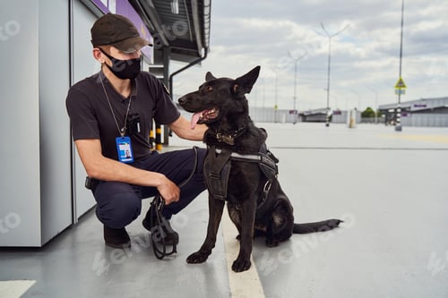 Preview: Male security officer petting detection dog at airport