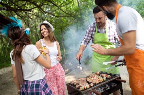 Preview: Group of friends camping and having a barbecue in nature