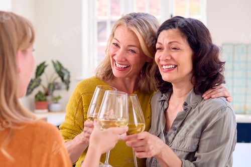 Preview: Same Sex Mature Female Couple With Friend Celebrating With Glass Of Wine At Home Together