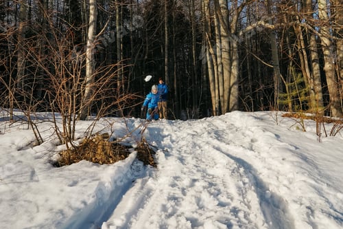 Preview: Active father and son playing and throw snow in winter forest, sunny day. Happiness in moment.