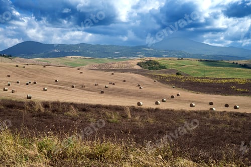Preview: Rural landscape in Tuscany near San Quirico d Orcia