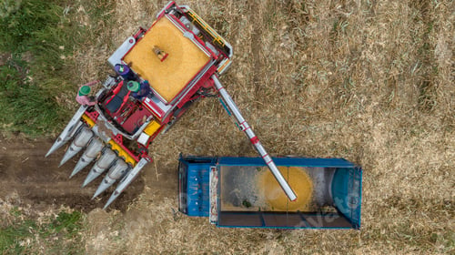 Preview: Farm machines harvesting corn. The entire corn plant is used, no waste. Agricultural machines