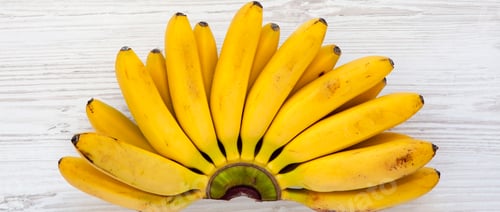 Preview: Bunch of baby banana on a white wooden background, top view. From above, overhead.