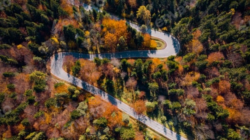 Preview: Curvy Winding Road Trough Woodland at Fall Foliage Season. top D