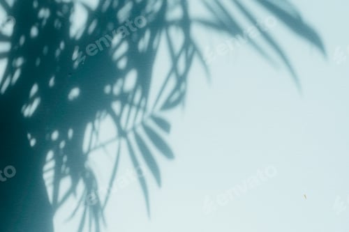 Preview: Palm leaf shadows on blue wall. Copy space. Backdrop texture for design