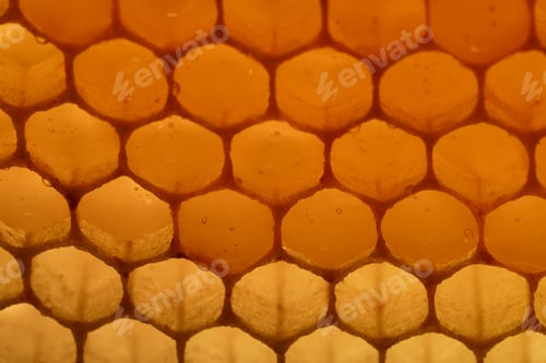Preview: Acro shot of a honeycomb produced in a studio environment with backlight.