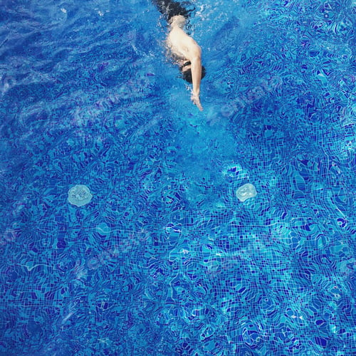 Preview: swim