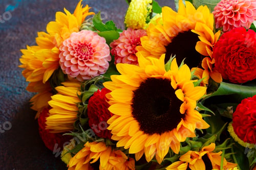 Preview: Dahlia and sunflowers