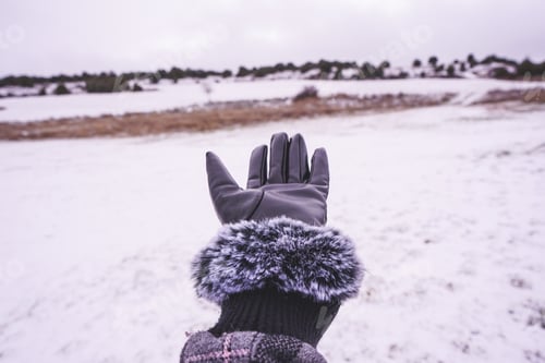 Preview: First person view of an elegant leather glove showing the snowy mountains