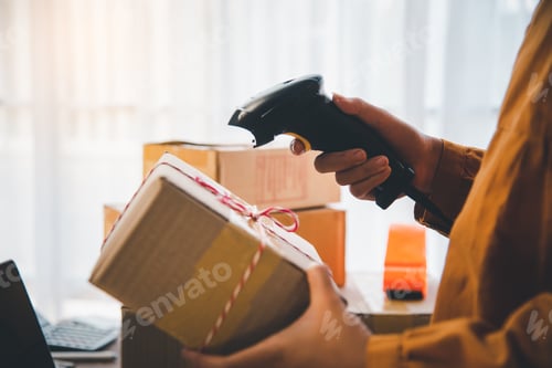 Preview: Delivery staff scanning cardboard box with barcode scanner to check products for customers