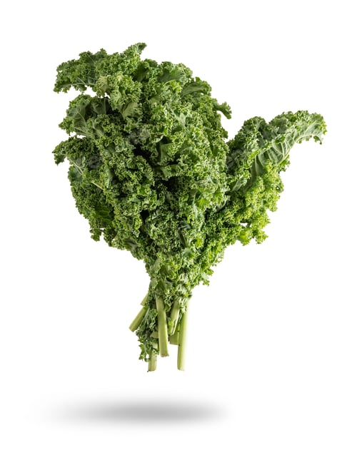 Preview: Fresh green kale floating on white background