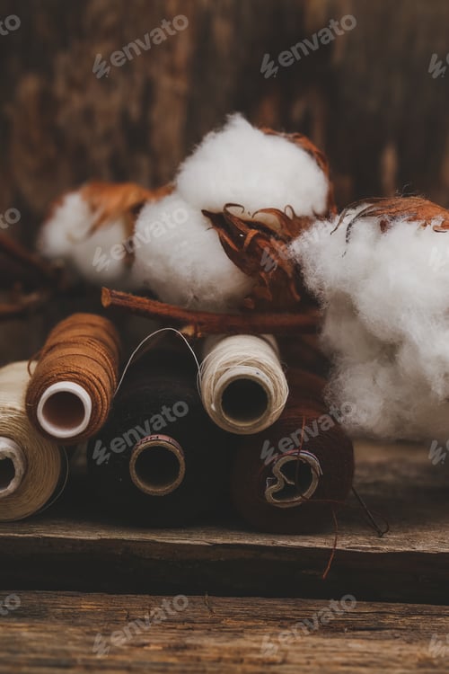 Preview: Cotton flower