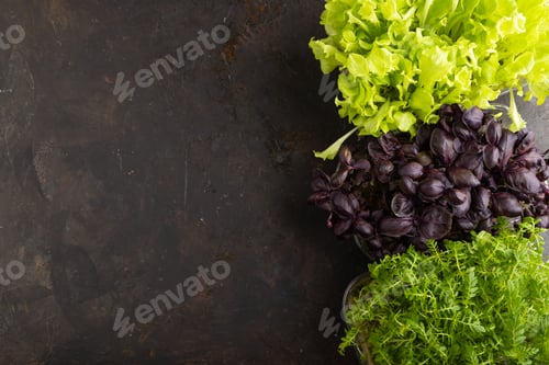 Preview: Set of boxes with microgreen sprouts of purple basil, marigold, lettuce on black concrete background