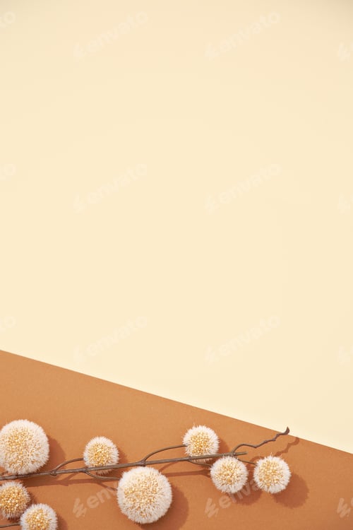 Preview: Autumn flowers. Fall minimal concept. Still life beige colours