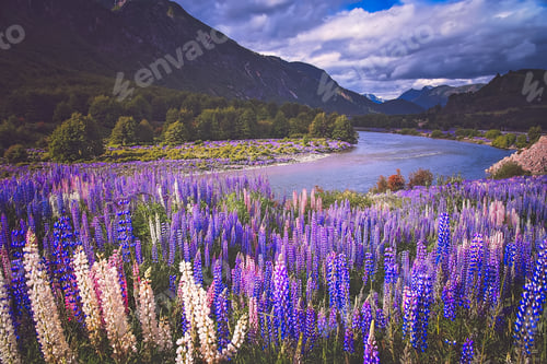 Preview: Chilean Patagonia landscape