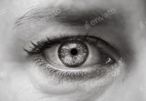 Preview: Closeup grayscale of beautiful human eye