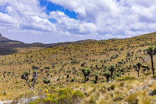 Preview: Kenyan Landscapes Dragons Teeth Mount Satima Lesatima Table Mountain