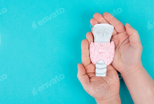 Preview: Holding thyroid organ in the hands, drawing paper cut out, hyperthyroidism and hypothyroidism