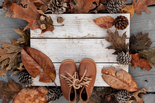 Preview: Autumn Leaves, Pine Cones, and Baby Shoes