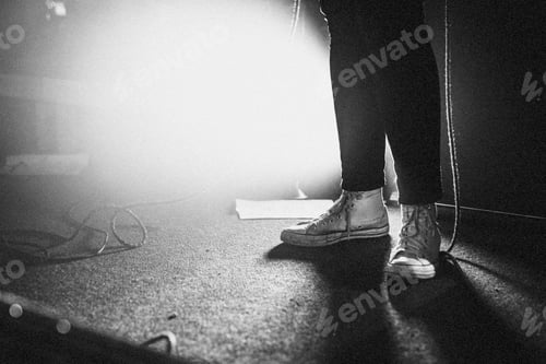 Preview: Musician standing on the stage