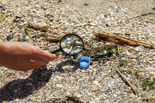 Preview: A magnifying glass lies on the sand by the river