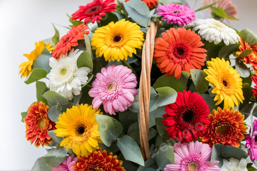 Preview: bouquet of flowers, chamomile, daisy, gerbera, summer bouquet delicate isolated on white background