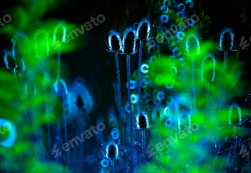 Preview: Grass on background of glowing circle