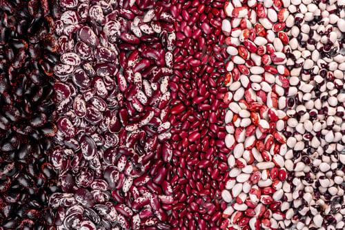 Preview: Beautiful multicolored beans close-up on a concrete background