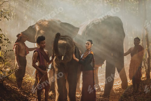 Preview: Elephant and woman in Thailand