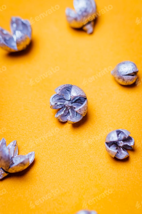 Preview: Close-up of dried and painted silver leaves on gold background.
