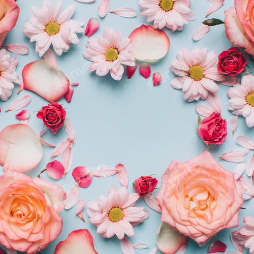 Preview: Floral pattern of roses buds, camomiles and petals on blue background. Flat lay, Top view.