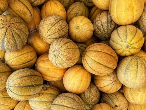 Preview: Cantaloupe melon