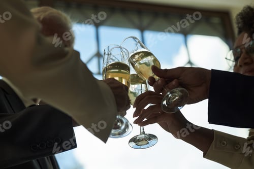 Visualização: Grupo diversificado de adultos brindando com taças de champanhe durante a celebração