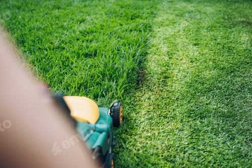 Preview: lawn mower cutting the tallest lawn