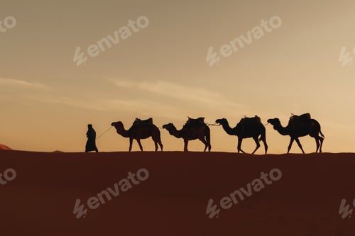 Preview: Caravan of camels in the desert at sunrise