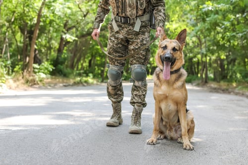 Preview: Man in military uniform with German shepherd dog outdoors