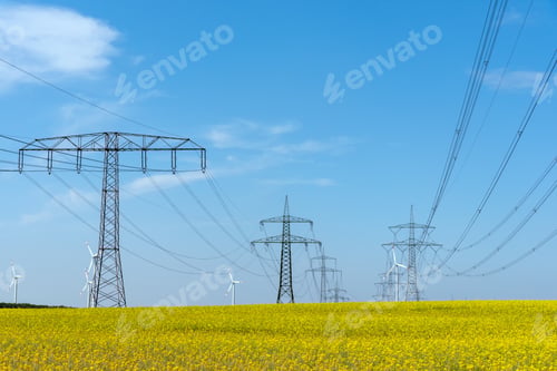 Preview: Power supply lines in a field of flowering oilseed rape