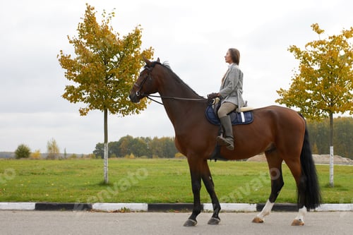Preview: Beautiful young woman riding a horse on the field. Sideways to the camera. Freedom, joy, movement