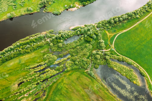 Preview: Aerial View Of Green Forest, Meadow And River Marsh Landscape In Summer. Top View Of European Nature