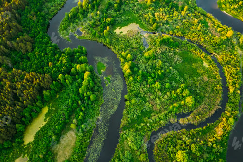 Preview: Aerial View Green Forest Woods And River Landscape In Sunny Spri