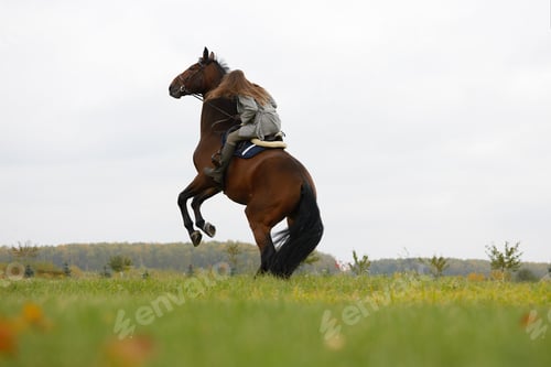 Preview: Beautiful young woman riding a horse on the field. Sideways to the camera. Freedom, joy, movement