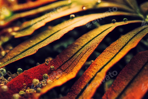 Preview: Super detailed colorful waves background, copy space banner,conceptual photography of macro elements