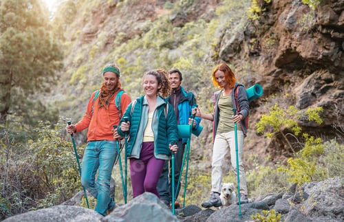 Preview: Group of friends with backpacks doing trekking excursion on mountain
