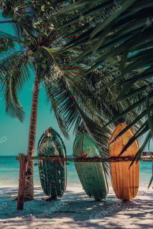 Preview: Vertical shot of canoes lined up on a sandy beach by water and palm trees